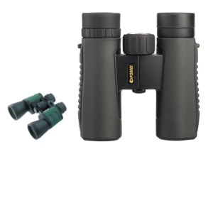 CLASSIC KLASICNI Cat